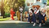 Pup Academy (2019) Season 2 Streaming: Watch & Stream Online via Netflix