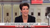 Rachel Maddow Warns the Supreme Court is Trump’s ‘Excellent Accomplice’ After ‘Stunning’ Immunity Hearing | Video