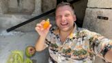 Británico sufre quemaduras de tercer grado por consumir fruta en Campeche; caso se vuelve viral