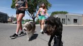 Woof! U.S. pet spending passes $100B, now outpacing booze, clothes and books