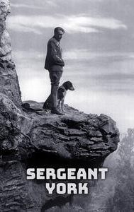 Sergeant York