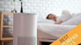 Save big on air purifiers this weekend