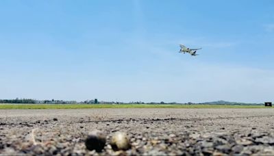 Lapwing checks in at Chennai airport, breeds amidst noisy wings | News - Times of India Videos