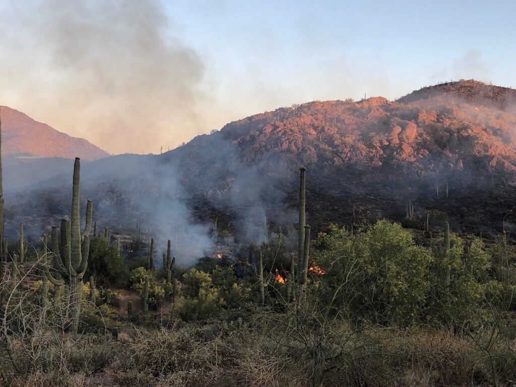 Nevada faces heightened wildfire potential this summer, state forester says