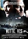 Witte vis