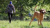 Animal control eager to roll out new field return program