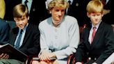 Princess Diana Would Be 'Infuriated' by Prince William and Prince Harry's Rift, Biographer Says (Exclusive)