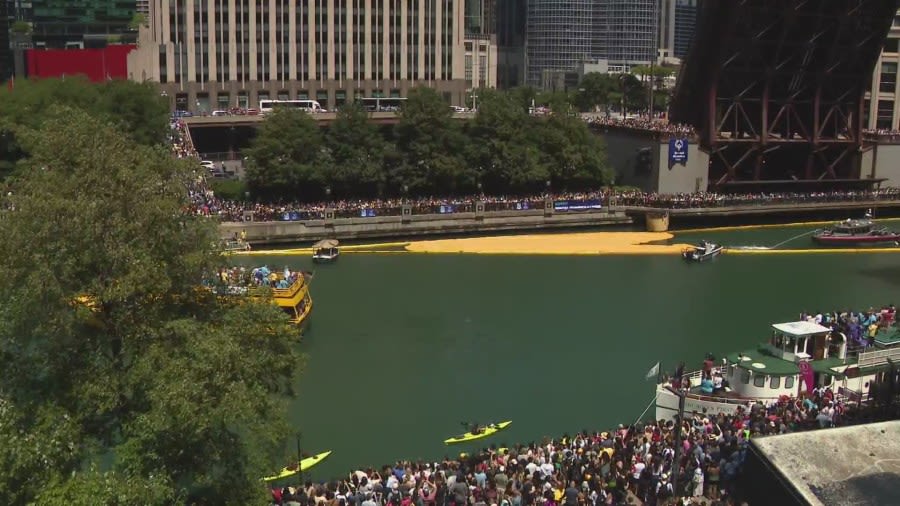 Ducks, ducks, loose: Annual Chicago Ducky Derby benefits Special Olympics Illinois