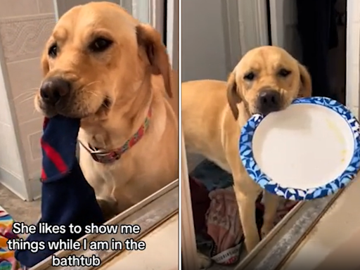 Golden retriever's ritual when owner's in the bath has internet in stitches