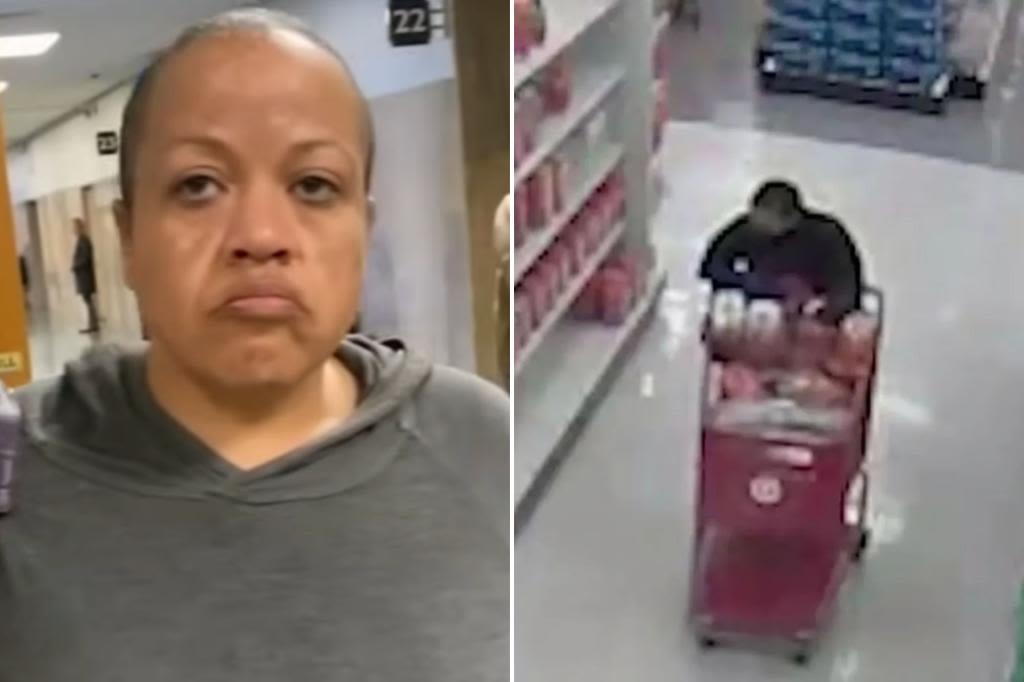 Target thief used self-checkout to steal over $60K in items over 120 visits to same store