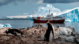 Una zona de la Antártida se derrite más rápido: estudio científico revela el motivo del acelerado deshielo