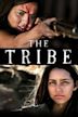 The Tribe