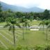 Taiping War Cemetery