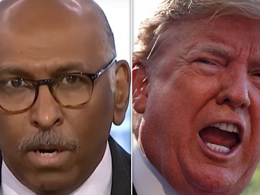 Ex-RNC Chair Michael Steele Trolls Trump With 'Extremely Good News' About Jail