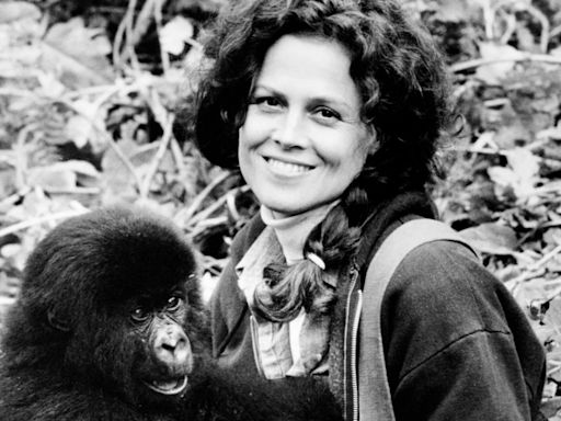 ‘World's biggest gorilla’ starred in hit film with Sigourney Weaver