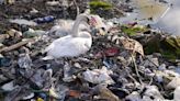 Today is Plastic Overshoot Day: A world-first international treaty could stem the tide of waste