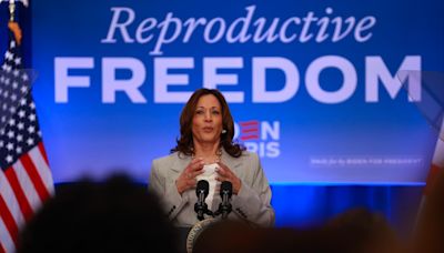 Kamala Harris hammers Trump for Florida's 6-week abortion ban, warns it will be 'even worse' if he wins