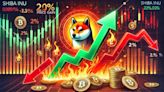 Shiba Inu (SHIB) Price Gains 2%, but Key Metrics Tumble Amid Rising Burn Rate - EconoTimes