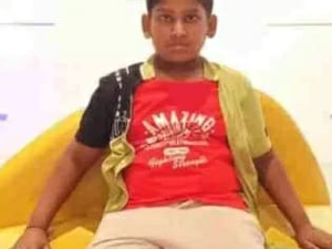 11-year-old boy succumbs to dengue fever in Bengaluru; septuagenarian dies of Zika virus - The Shillong Times