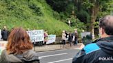 La ONG Amigas das Árbores se concentra en la calle Falperra de Vigo para impedir una tala programada por el concello