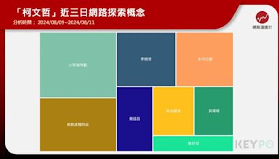 柯文哲選總統經費爭議連環爆 民眾黨公布調查結果：會計師「擅自調節」做假帳