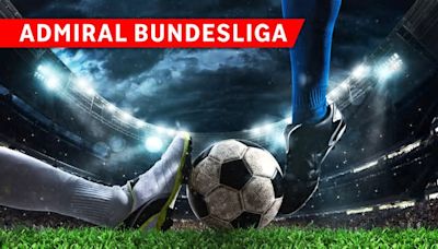 TSV Egger Glas Hartberg - SK Puntigamer Sturm Graz 1:3 (0:1)
