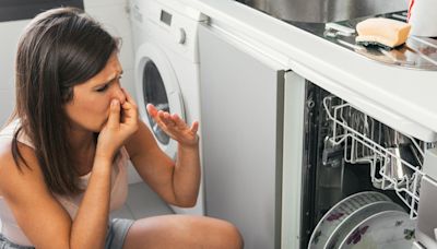 Cómo limpiar tu lavavajillas de forma fácil: Elimina los restos de comida y el mal olor