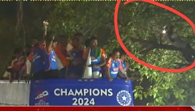 WATCH | Mumbai man climbs tree to watch Team India's victory parade up close, video viral on social media