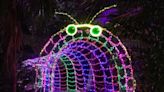 Marie Selby Botanical Gardens' Lights in Bloom competing for national award from USA Today