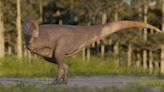 Descubrieron una nueva especie de dinosaurio carnívoro en la Patagonia