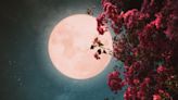 The Full Pink Moon In Libra Will Have You Reassessing Your Relationships This Week