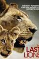 The Last Lions