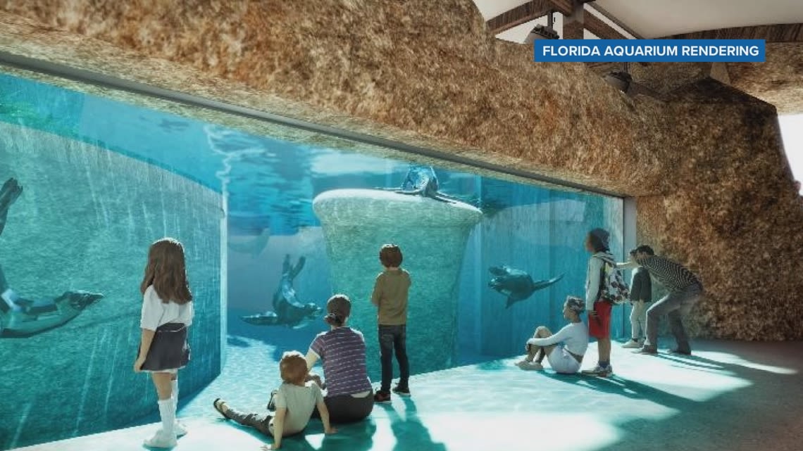 Florida Aquarium approved for $15M in CRA funding for redevelopment project