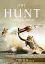 The Hunt (2015 TV series)