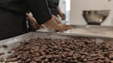 Cocoa Slumps Again as Buyers Hold Back in Troubled Market