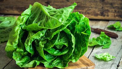 Les astuces pour garder une salade fraîche le plus longtemps possible