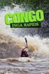 Congo: The Grand Inga Project