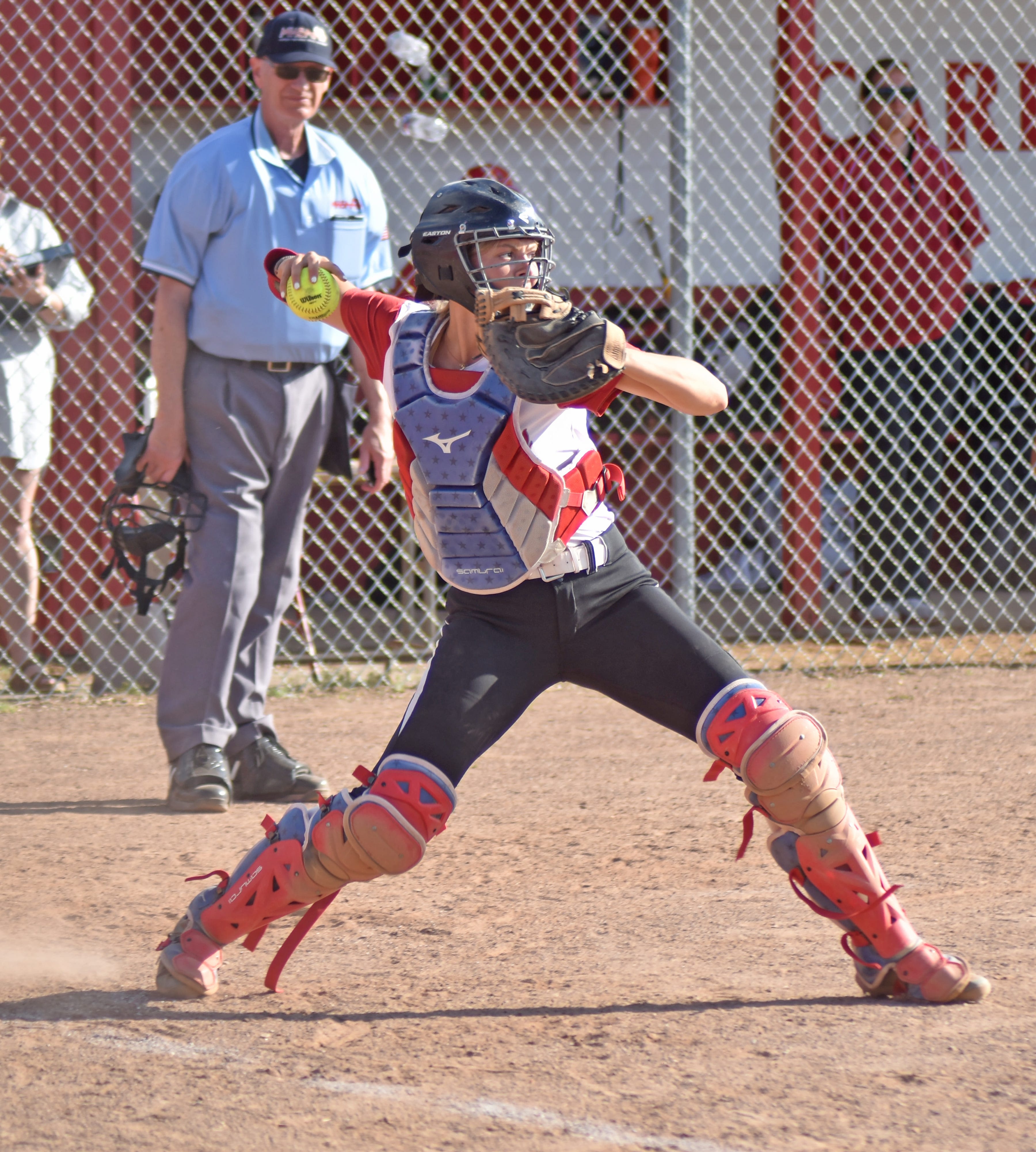 Softball: Coldwater falls; Quincy and Bronson sweep