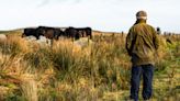 Funding later-life care: Challenges and advice for farming families - Farmers Weekly