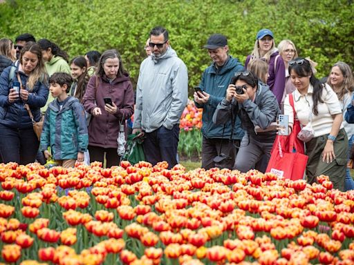 What's open and closed in the Ottawa area on Victoria Day Monday