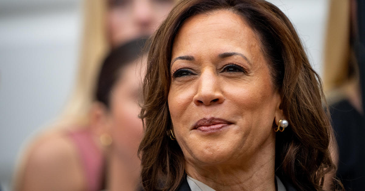 Michigan Democratic delegates vote to endorse Kamala Harris as nominee in presidential race