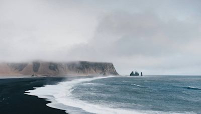 Sea creature spotted ‘surfing the waves’ in ‘special’ encounter off Iceland, photo shows