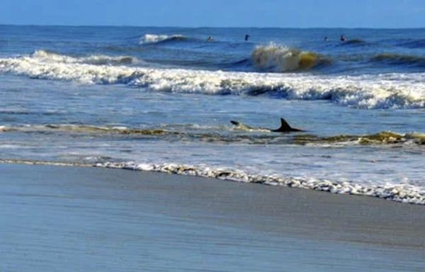 Shark bites Missouri teen in Daytona Beach Shores, 4th incident in 6 days