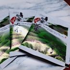 龍鳳茗香自產自銷杉林溪龍鳳峽高山茶精品冬片茶包20包／組