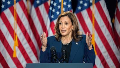 Kamala Harris vows US not going back to ‘chaos’ of Trump years in roaring Wisconsin speech | World News - The Indian Express