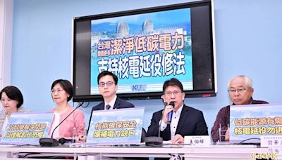 力推核電延役修法！國民黨團籲新政府「以核養綠」