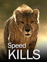 Speed Kills