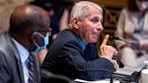 Fauci Testimony on Gain-of-Function Research Was ‘Inconsistent’ with Existing Intel, Says Ex-Director of National Intelligence