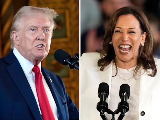 Kamala Harris devuelve burlas a Trump: le recuerda su crítica a DeSantis tras desastroso encuentro con Musk