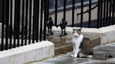 All change at Downing Street, except Larry the Cat